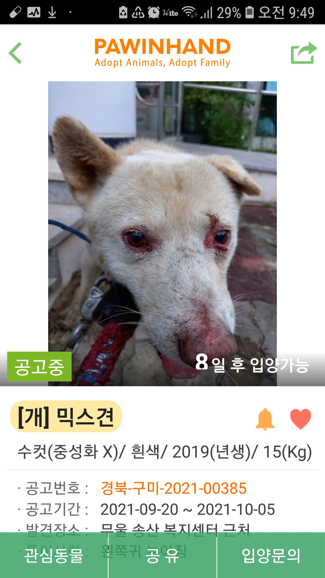 치료가 급한 아이예요~~~!!!