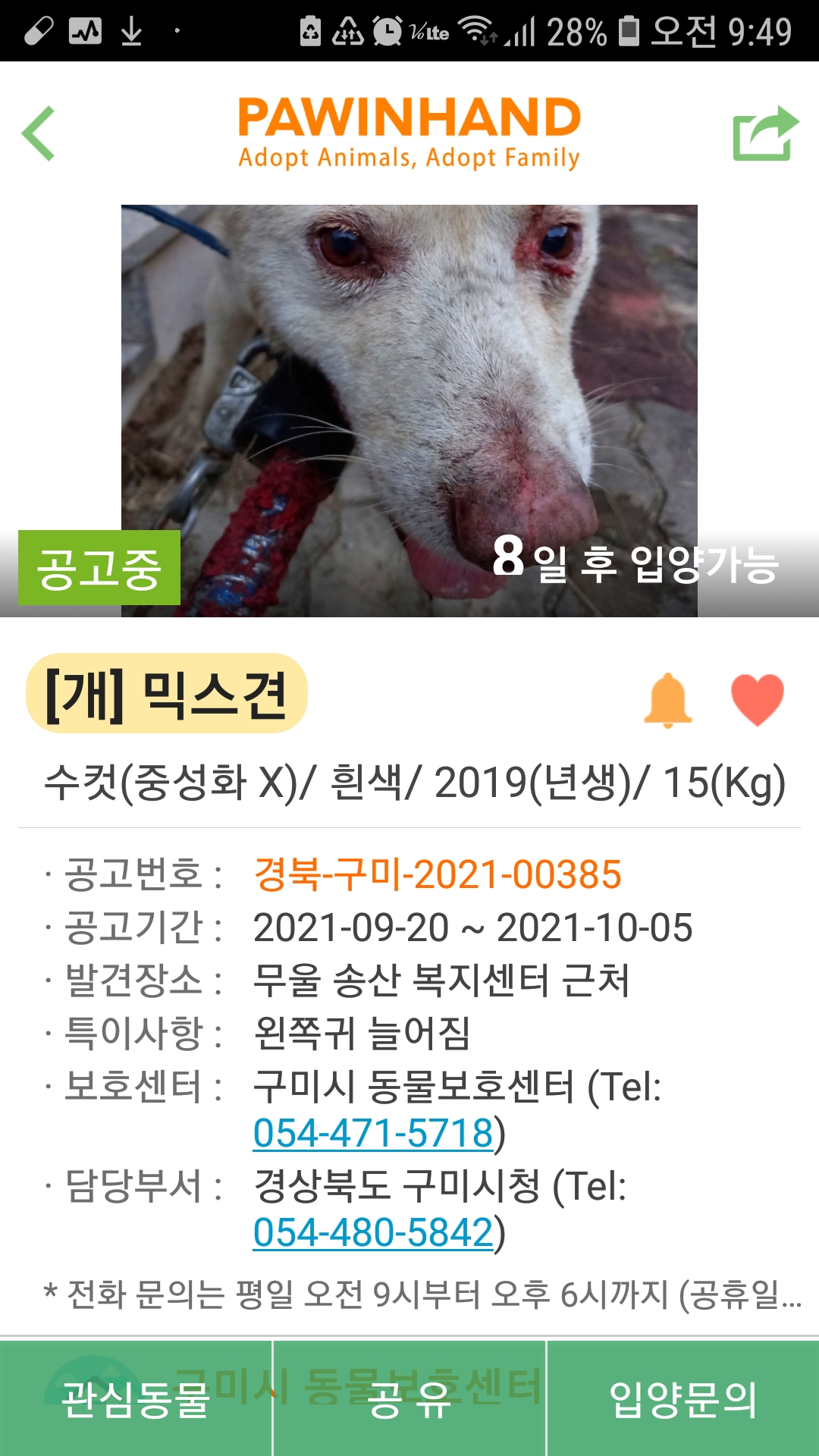 치료가 급한 아이예요~~~!!!