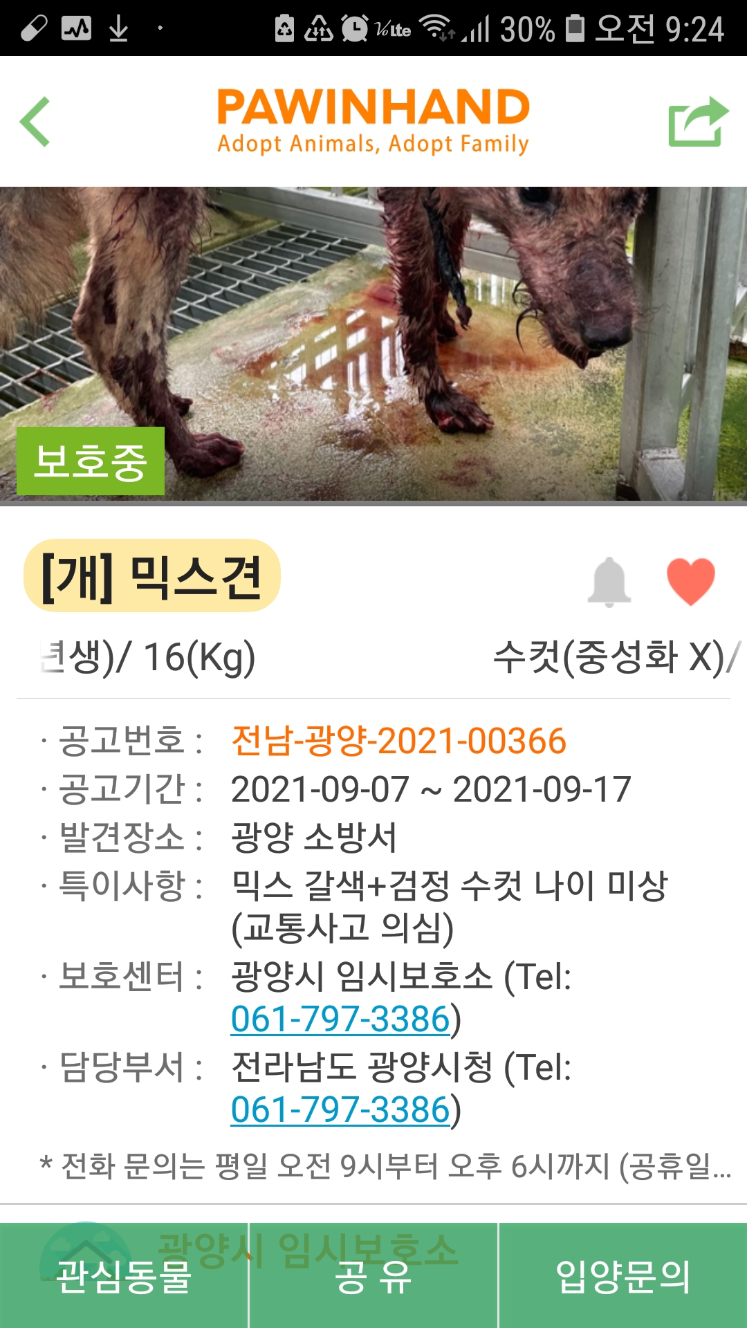 치료가 급한 아이예요~~~!!!