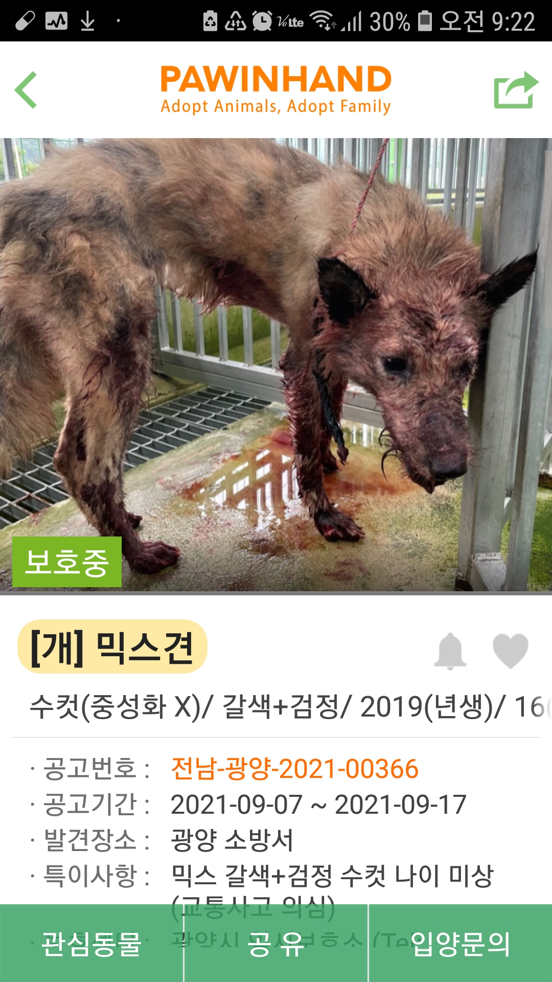 치료가 필요한 아이입니다.