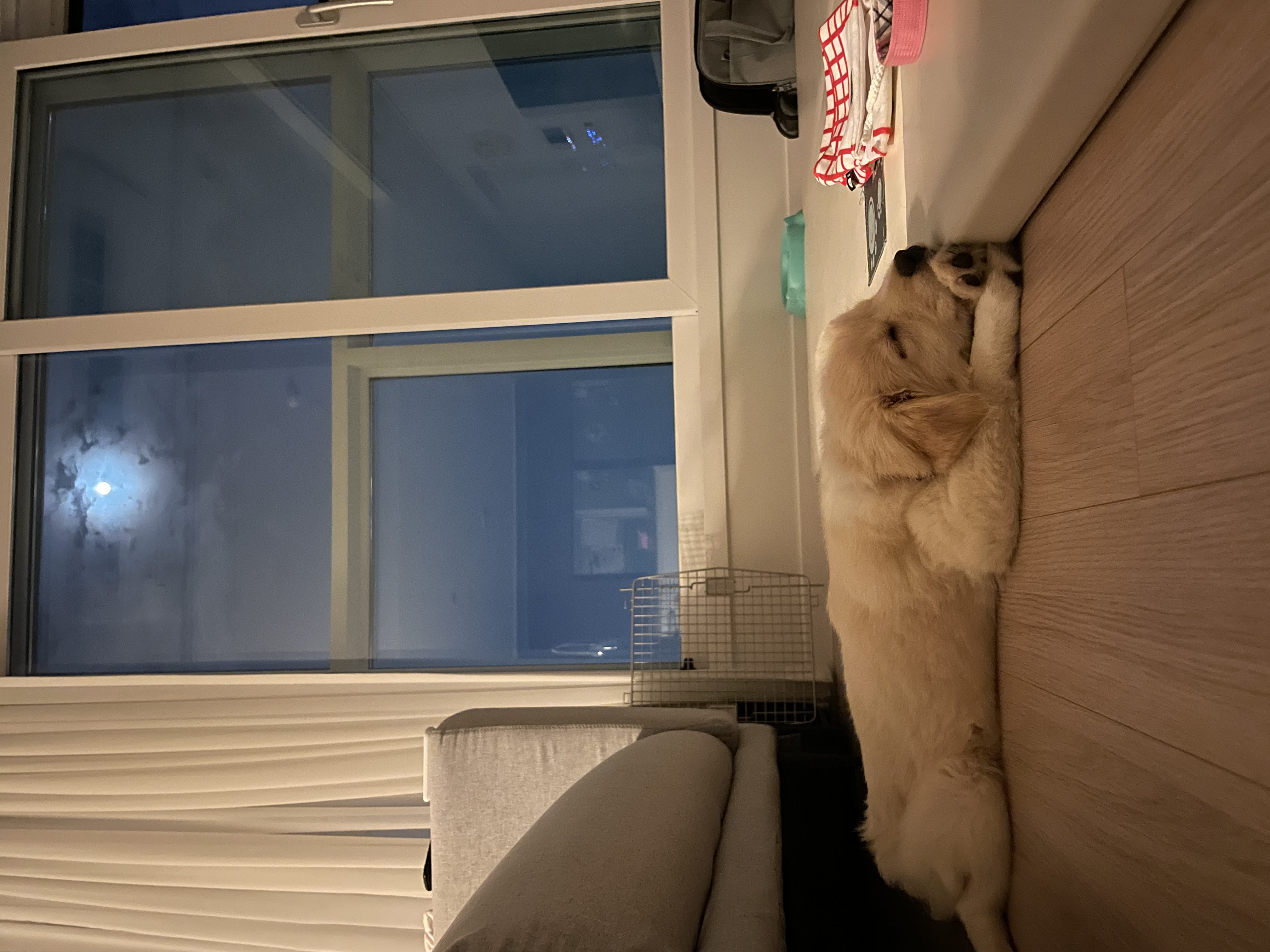하트니(무사) 첫 번째 이야기