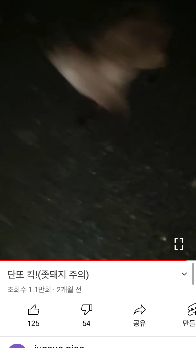 길고양이 학대 영상 제보