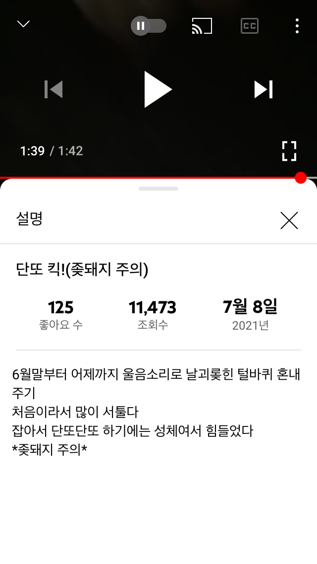 길고양이 학대 영상 제보