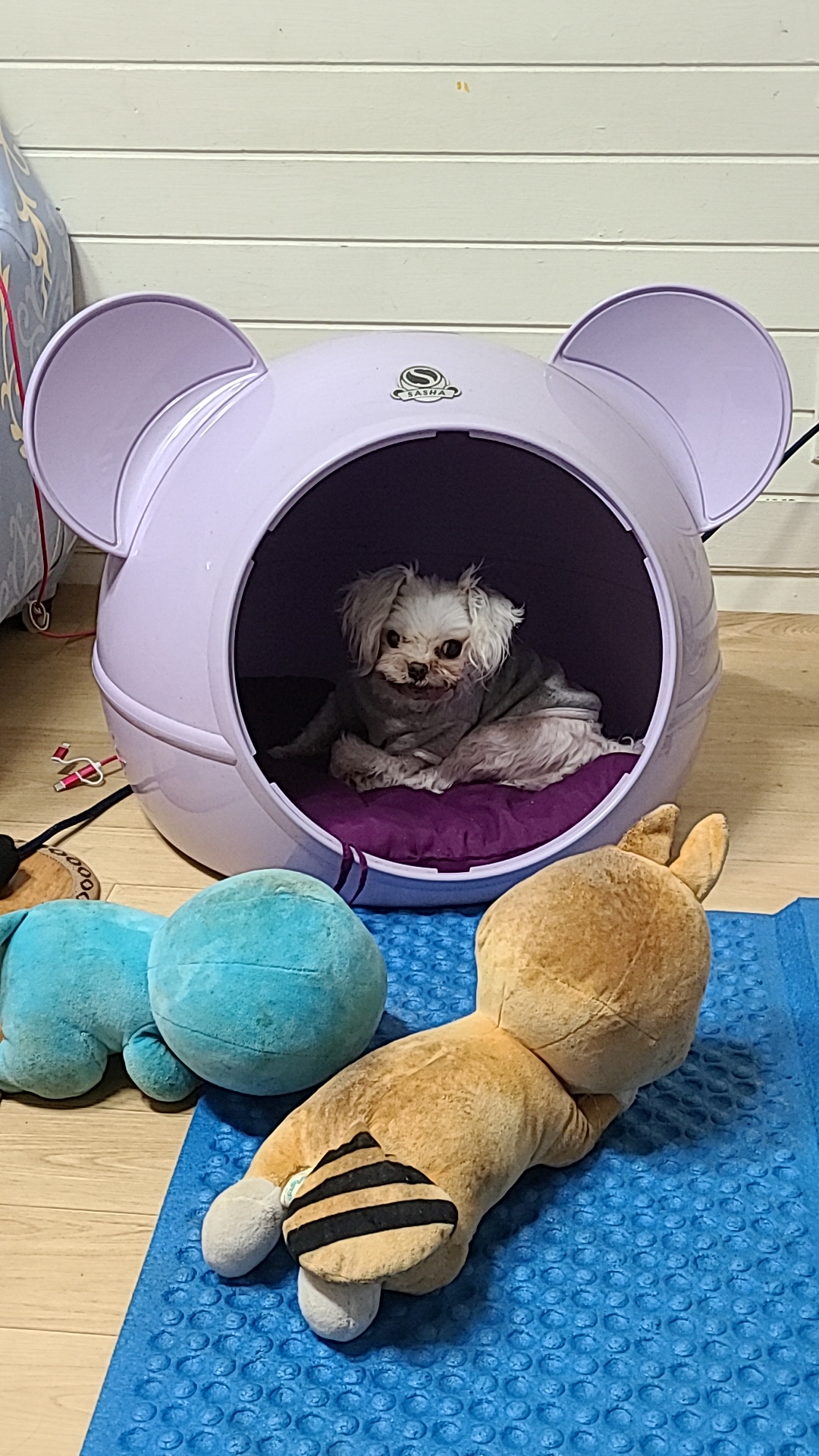 벌써 1년 9개월~~!