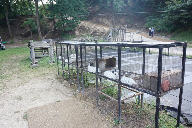 산들소리수목원 토끼사육장사진