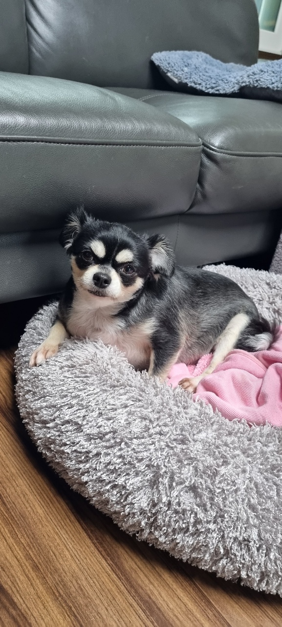 파주운정 나미^♡^