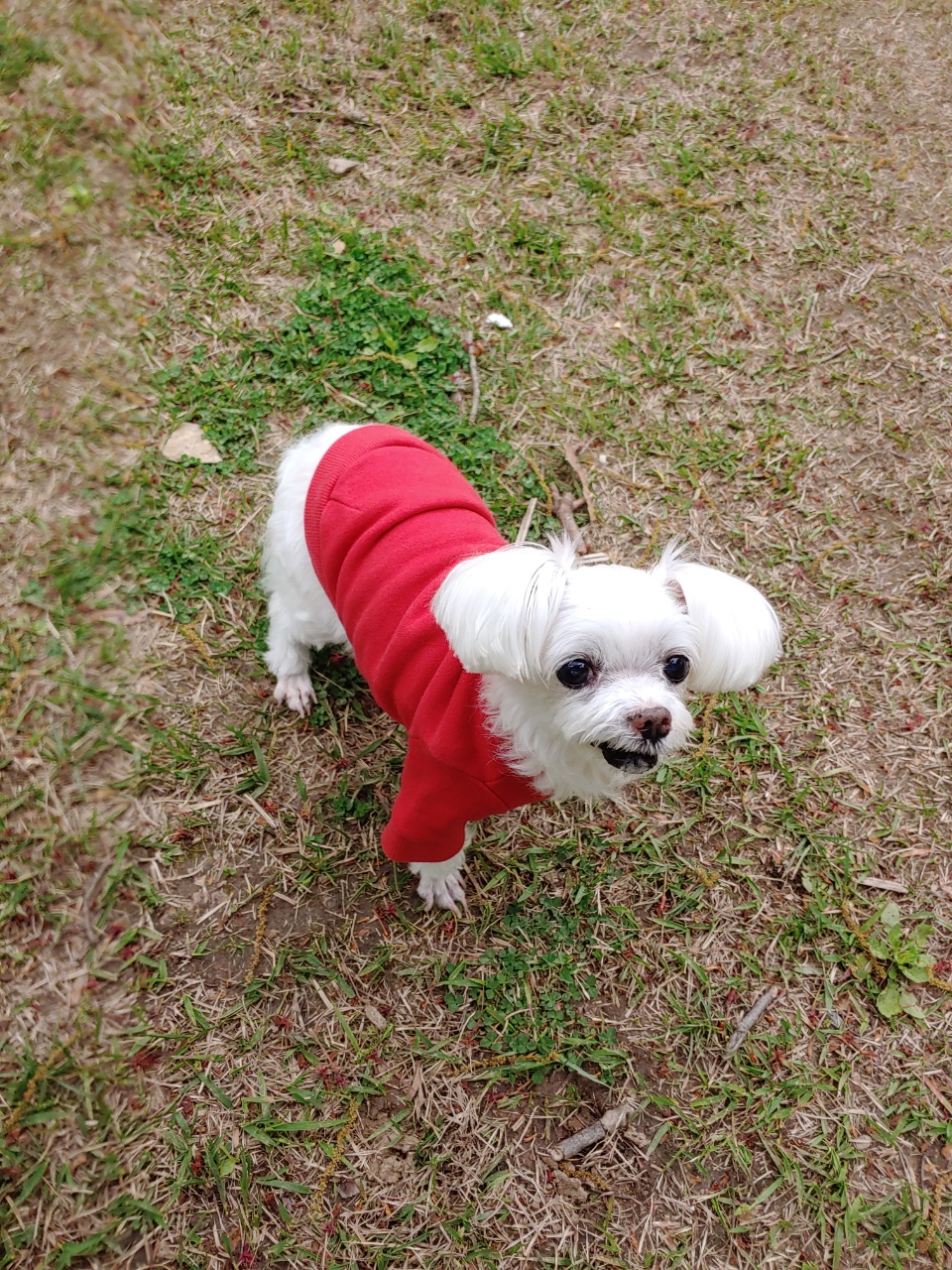 지명(일빵이)소식 전합니다