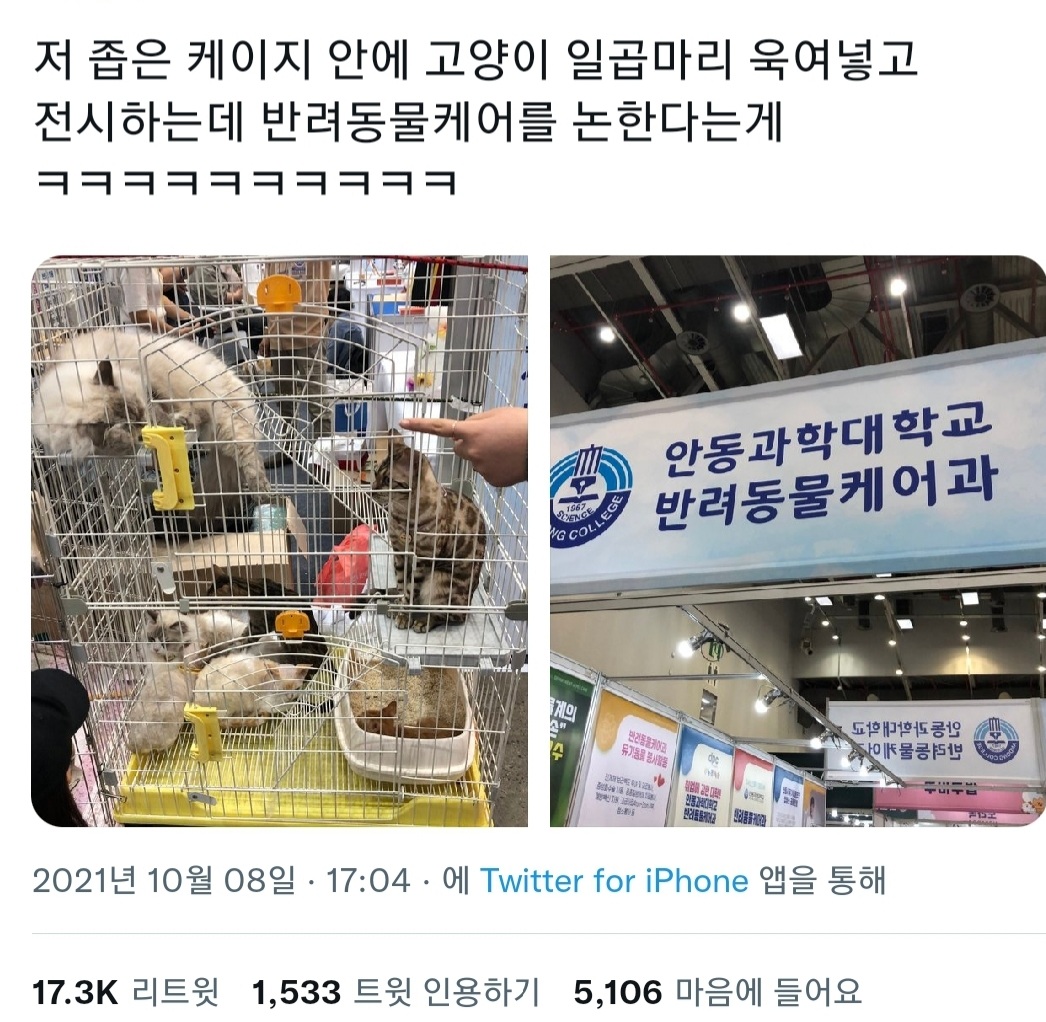 안동과학대학교 반려동물케어과