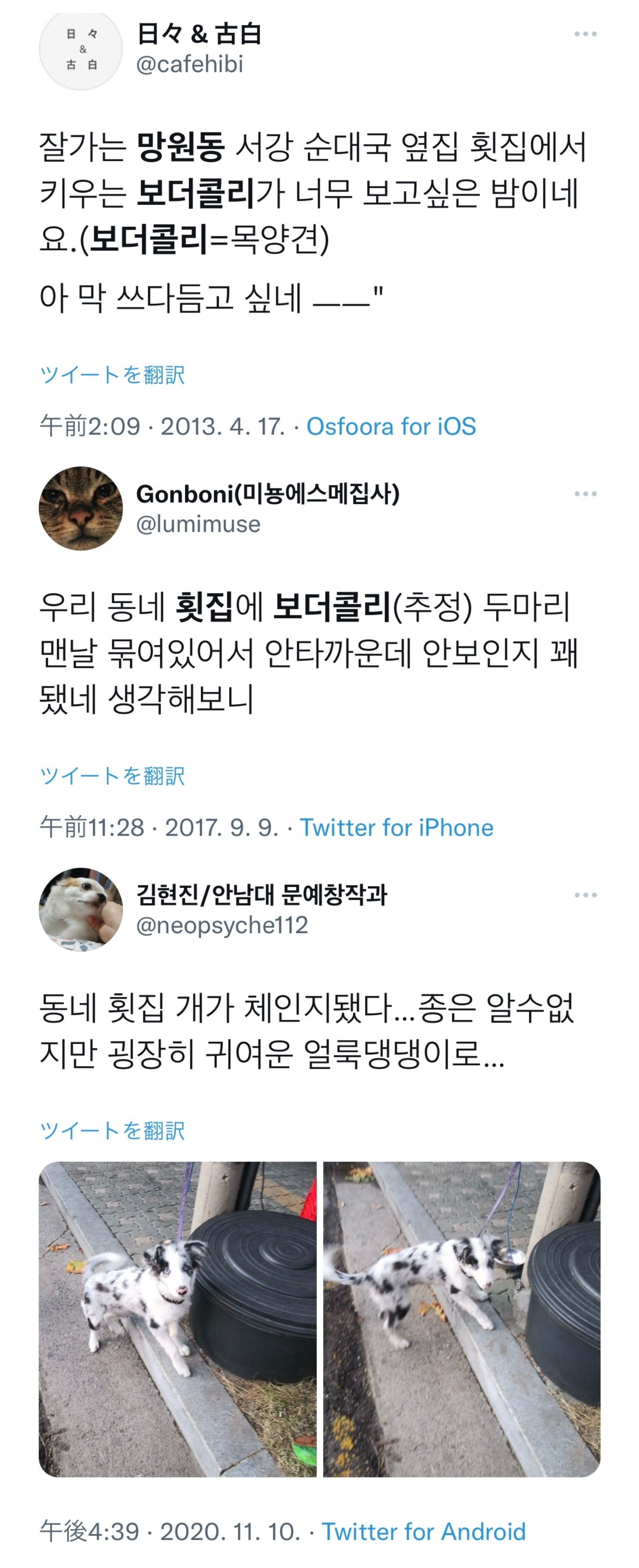 쉴 곳 없이 도로변 전봇대에 묶여있는 어린 강아지를 구조해주세요.