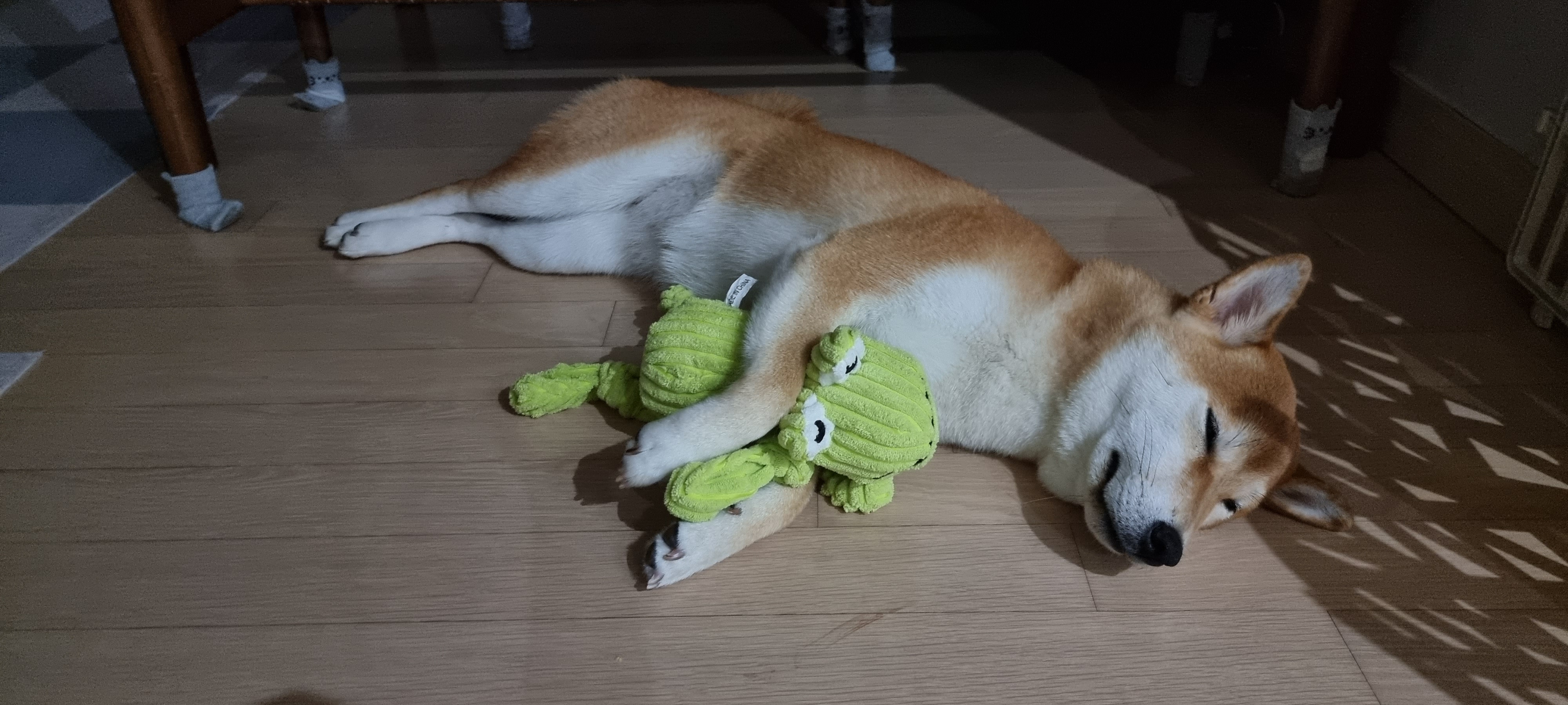 네시였던 별이입니다 