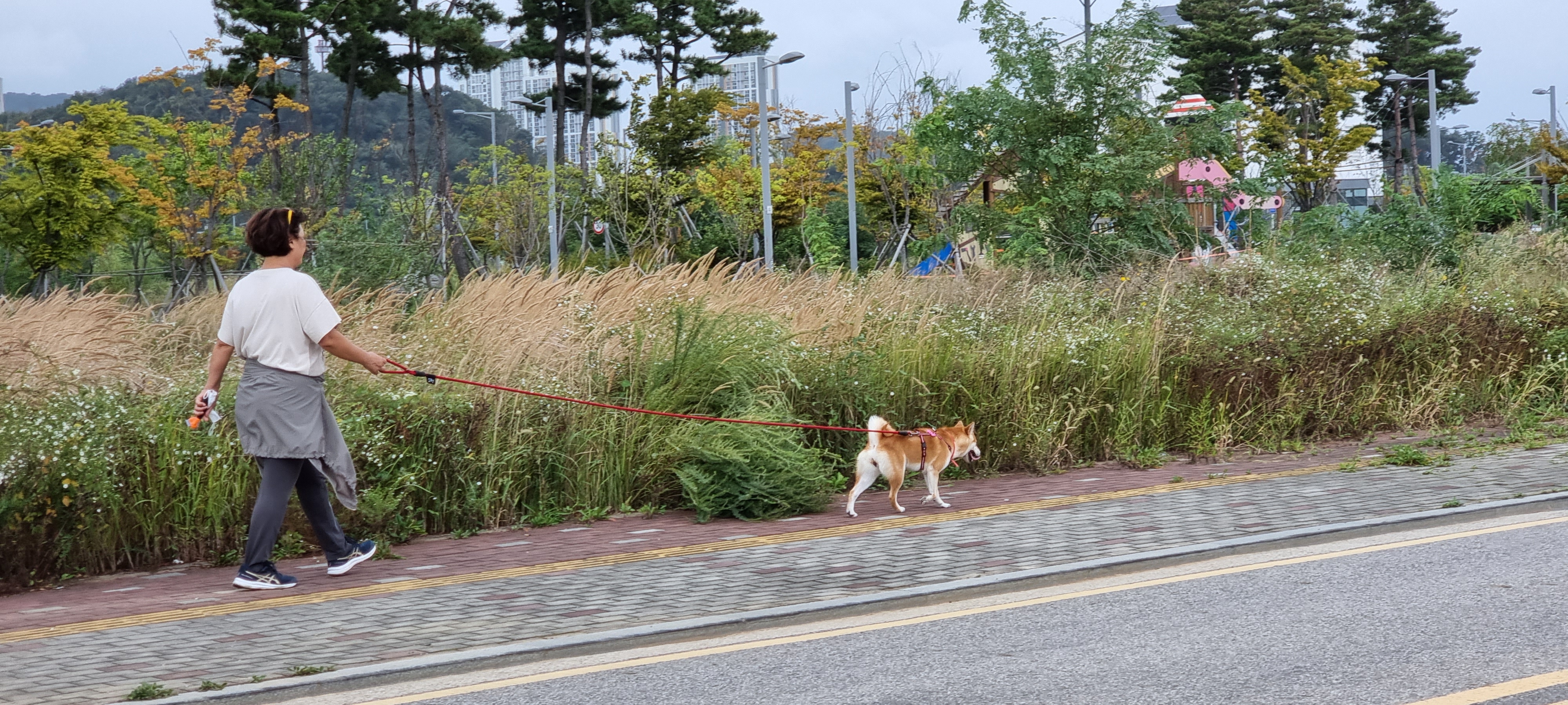 네시였던 별이입니다 