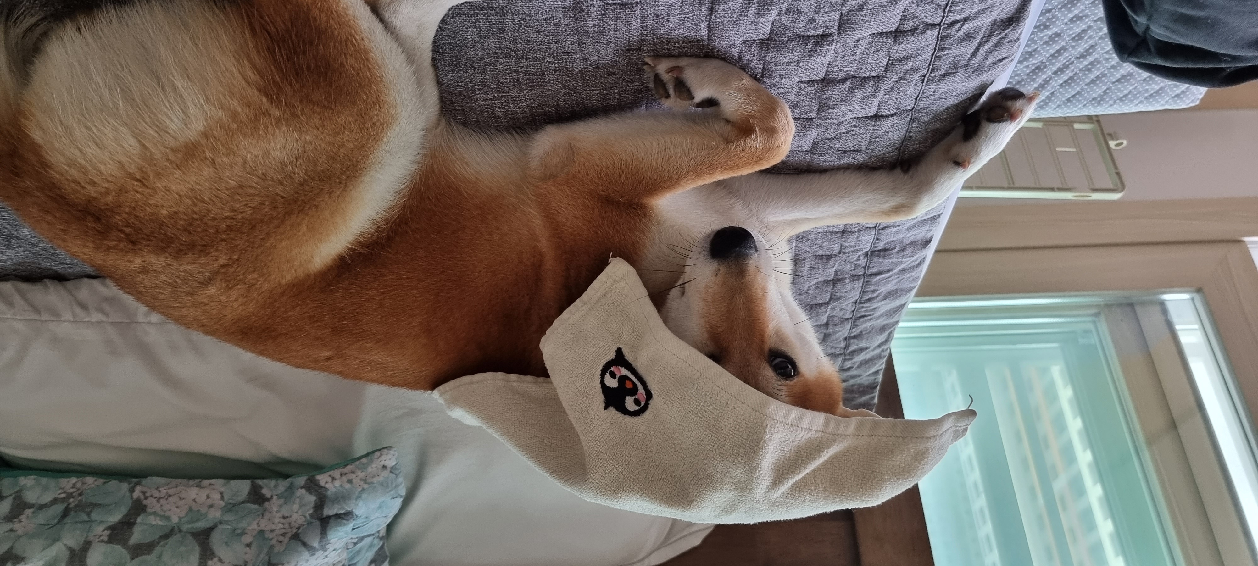 네시였던 별이입니다 