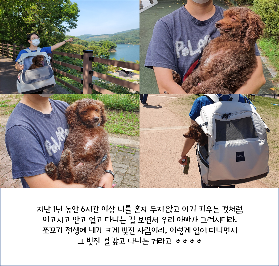 [1년 후기] 쪼꼬와 함께 한 가을 겨울 봄 여름 그리고 다시 가을