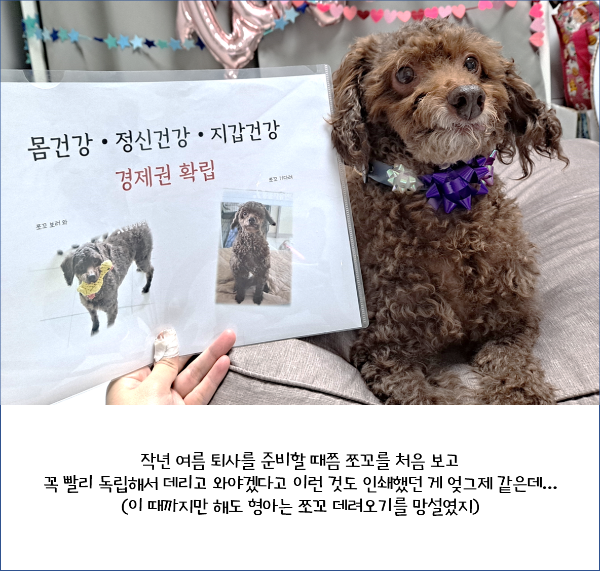 [1년 후기] 쪼꼬와 함께 한 가을 겨울 봄 여름 그리고 다시 가을