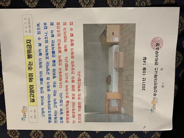 아파트에서 길고양이 사료배급금지 공고