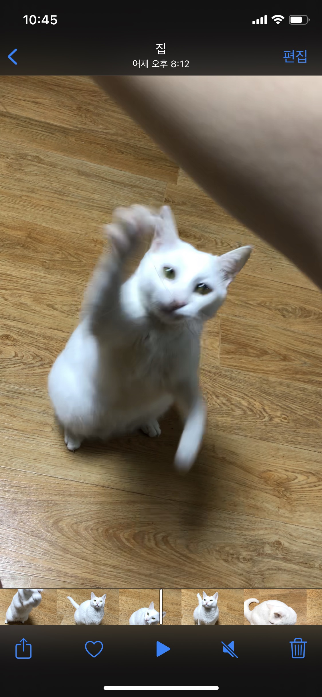힙한 꽁치!