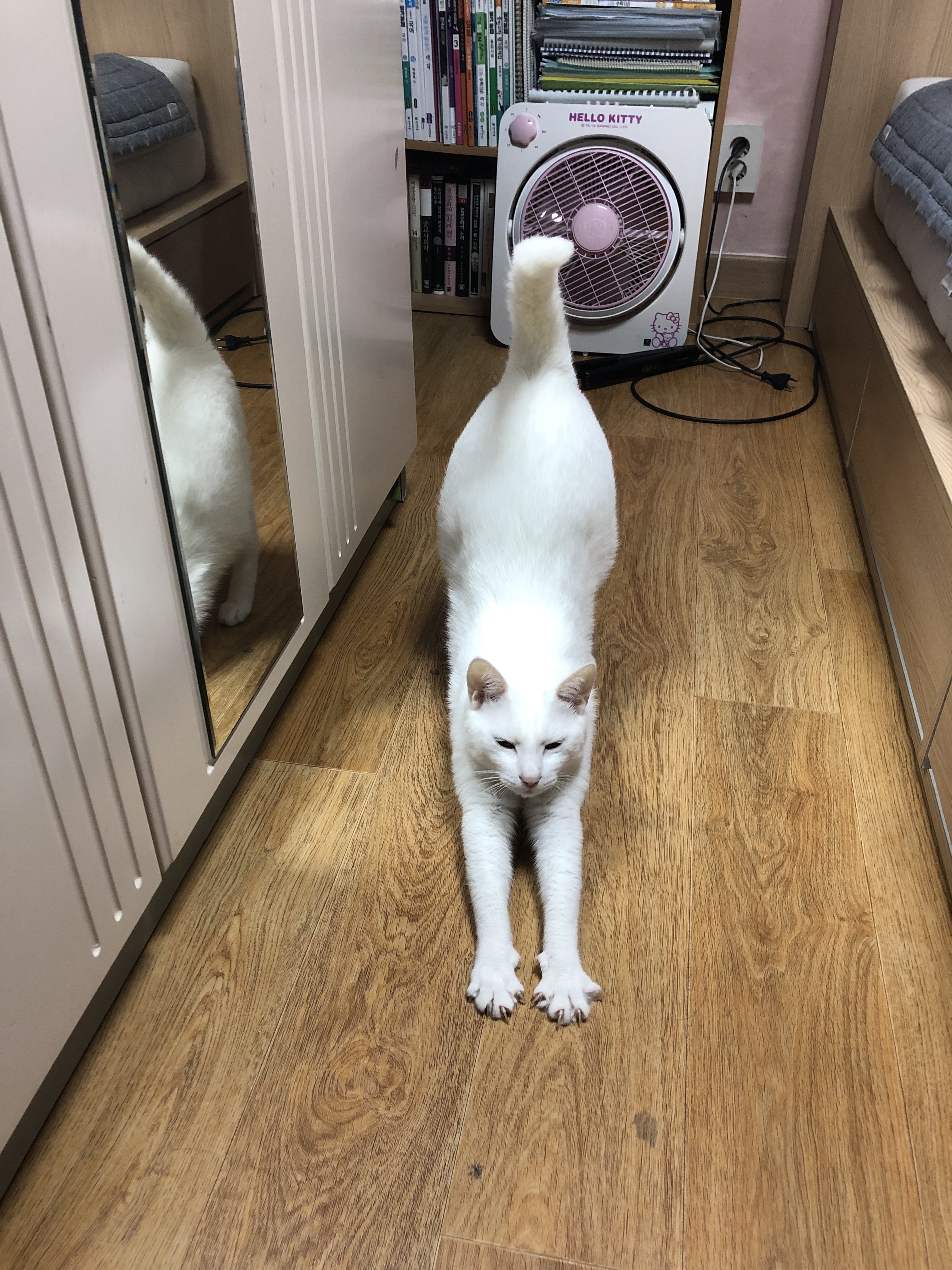 힙한 꽁치!
