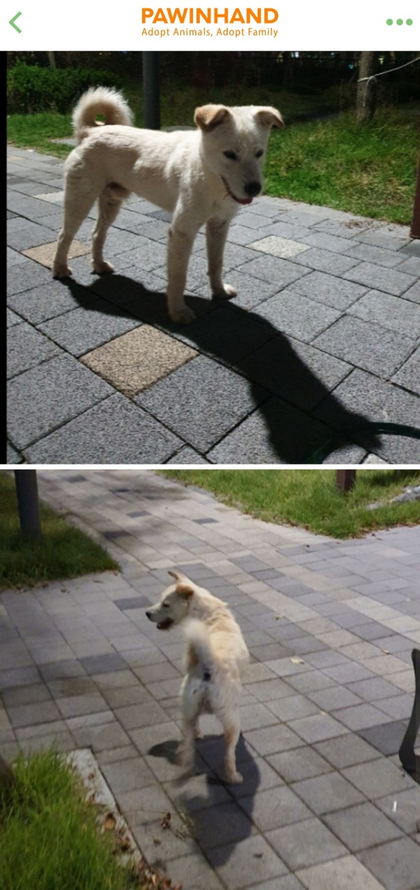 오토바이 뺑소니로 다친 강서_132아이를 도와주세요.