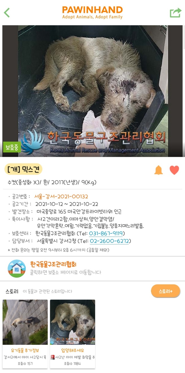 오토바이 뺑소니로 다친 강서_132아이를 도와주세요.