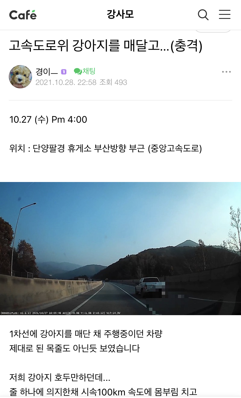부산가는 중앙고속도로 살아있는 채로 차에 매달린 강아지