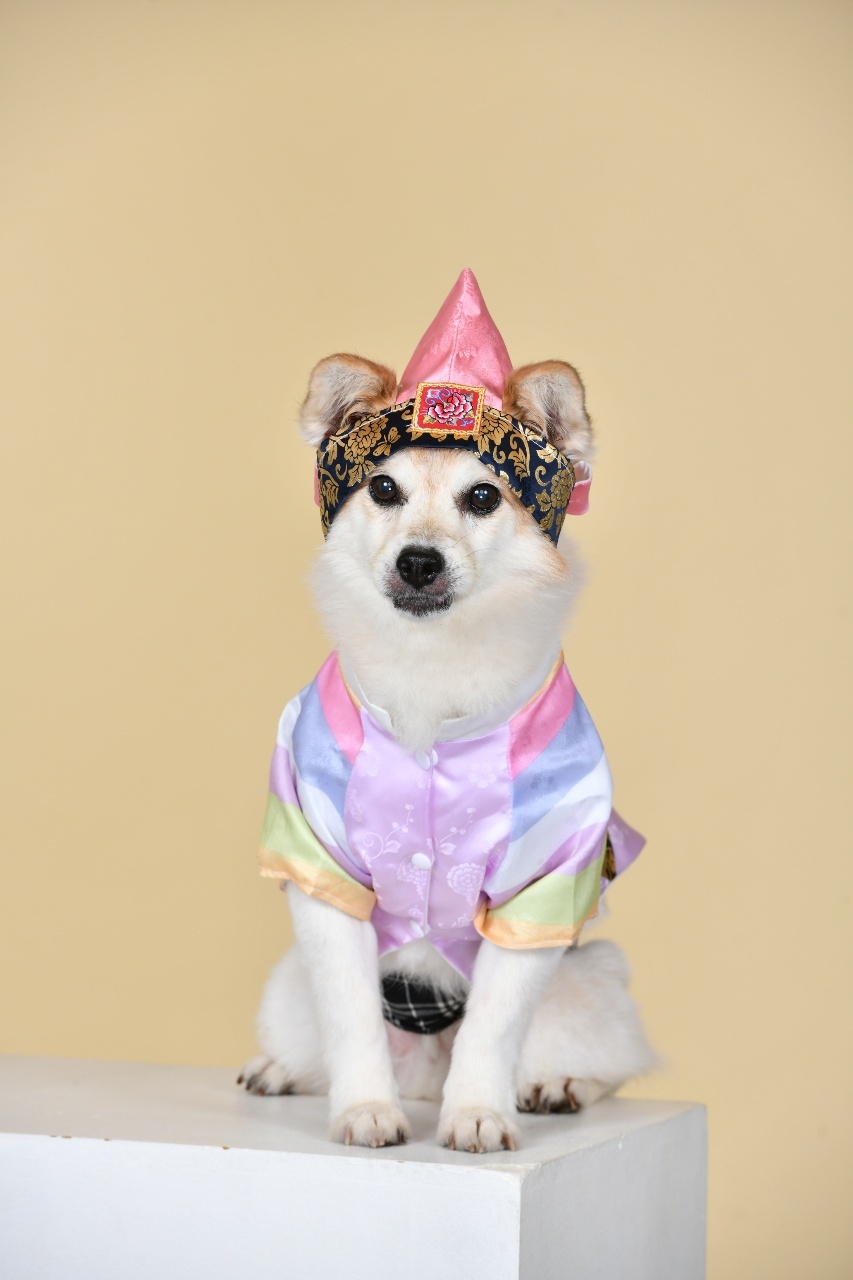 꼬마가 저희 집에 온지 3개월이 지났습니다~