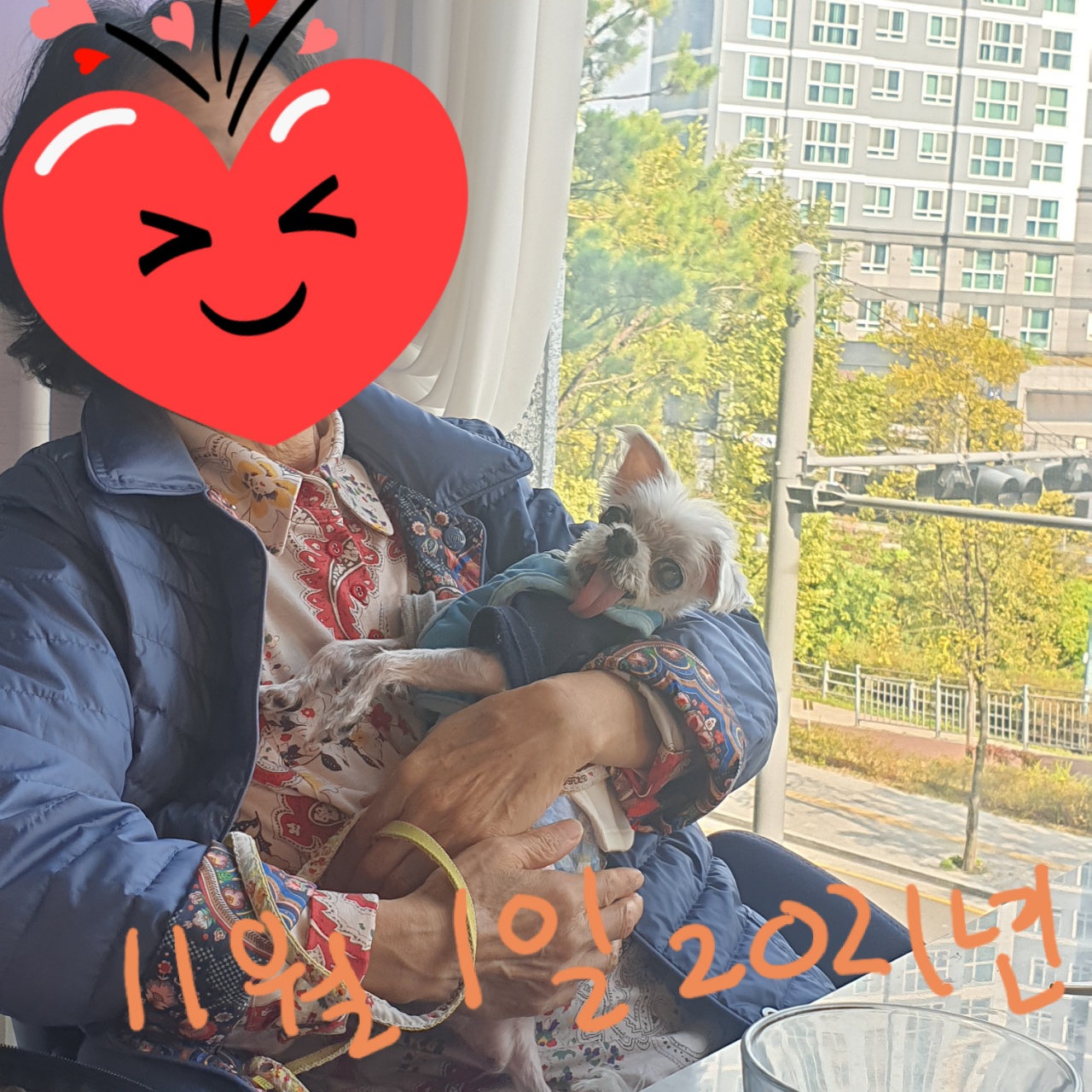 귀여운 꽃순이 금동이 