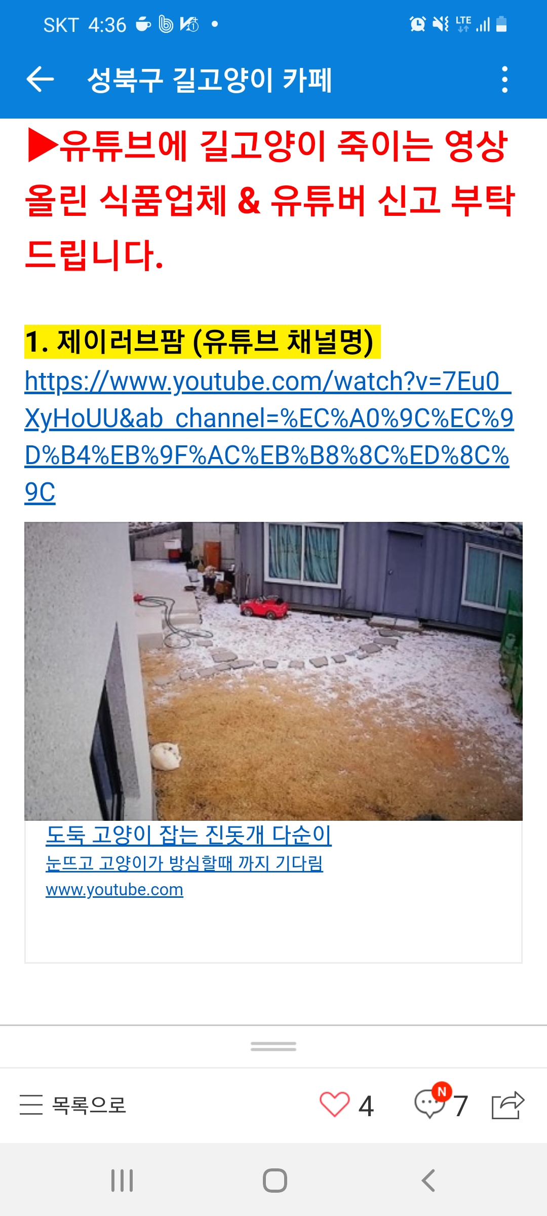 유튜브로 자기가 키우는 개가 길고양이를 죽이는 영상을 올리고 있어요