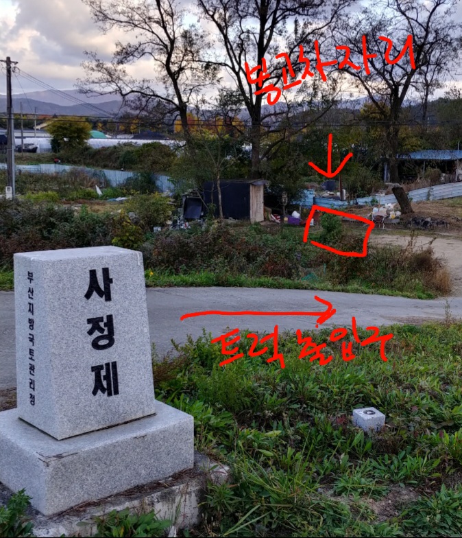 불법 개 도살 현장 조사해주세요!!!