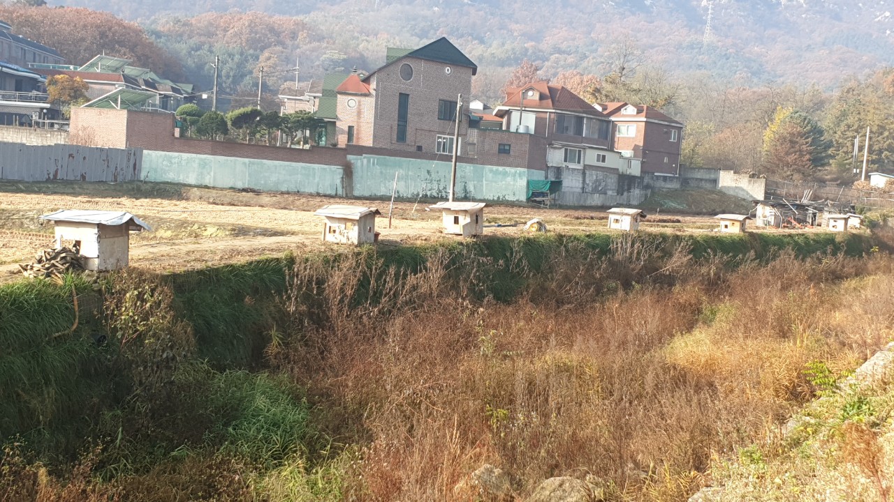 추위에 애기들이 떨고있어요.
