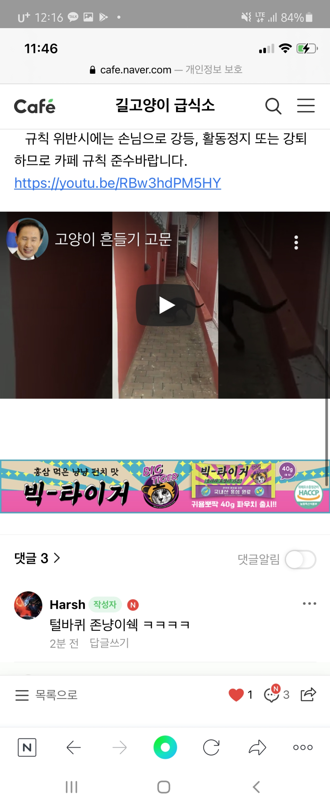 (재신고) 대형견을 이용하여 고양이 물고뜯고돌리기