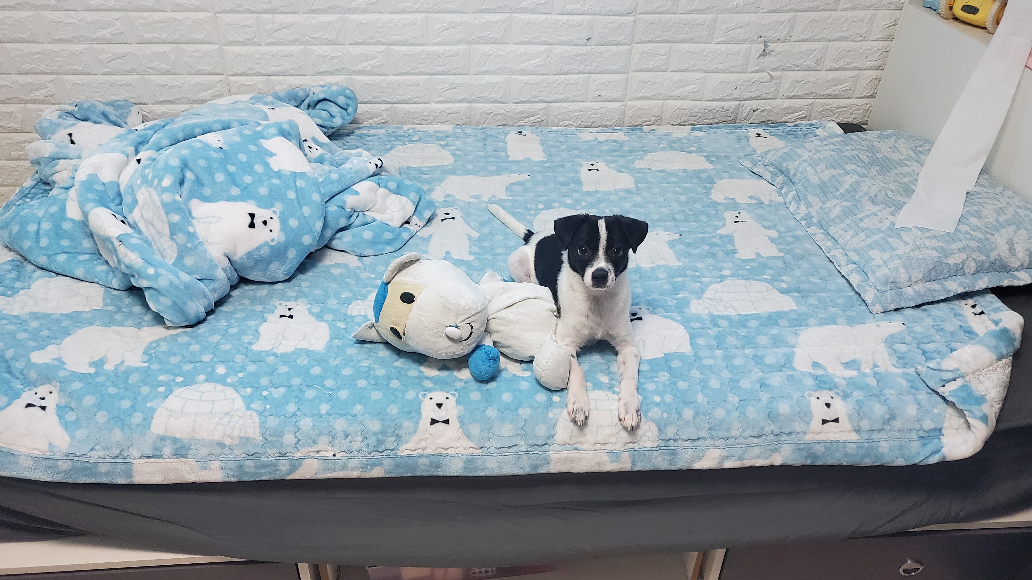 무법자 마루