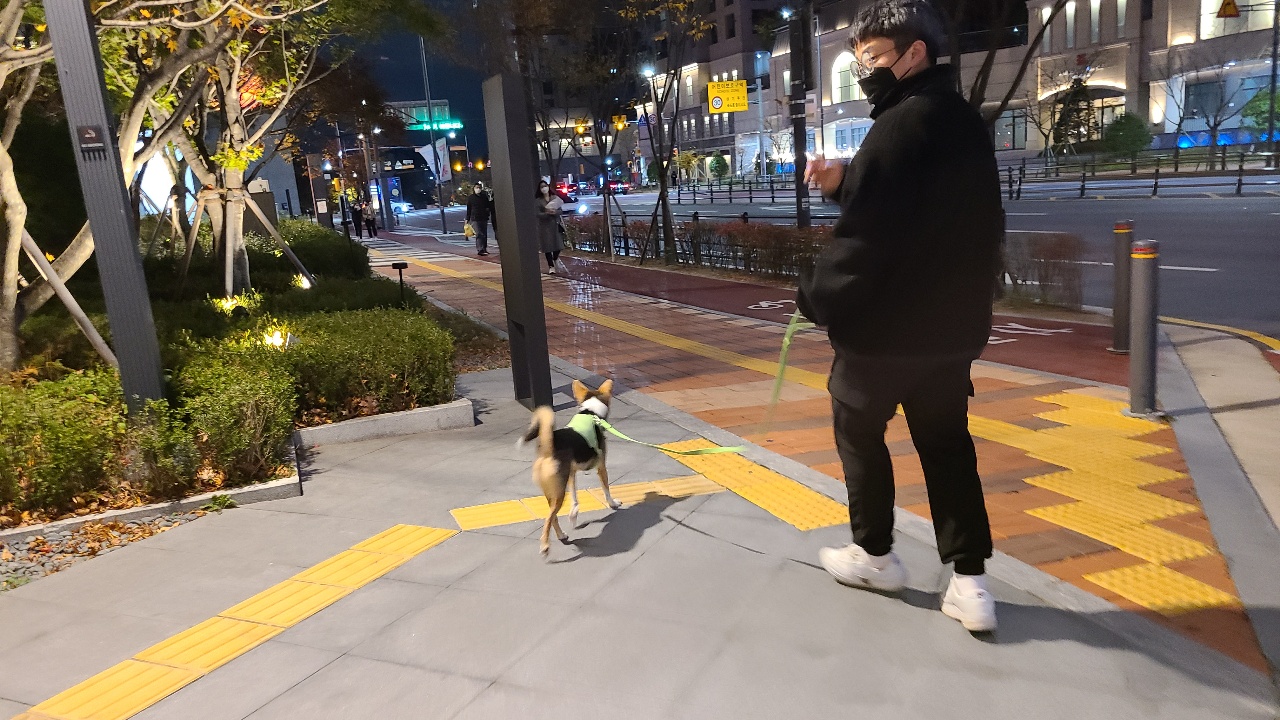 마레와 함께한 22일 