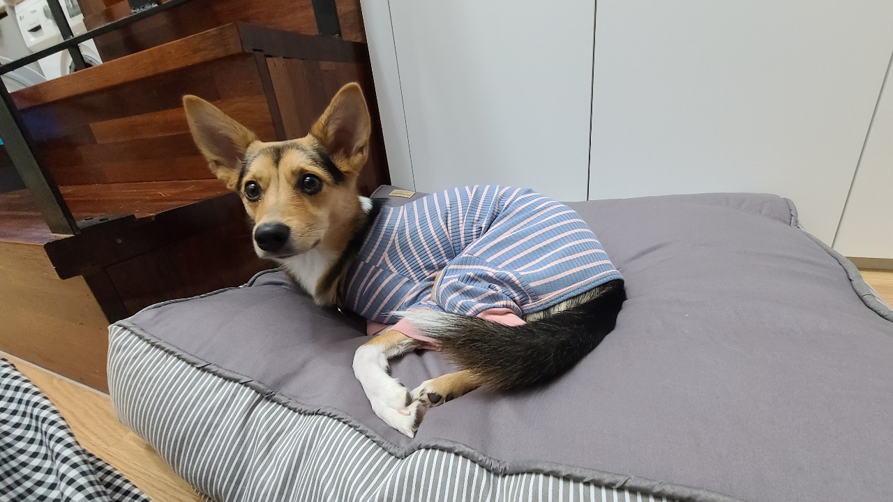 마레와 함께한 22일 