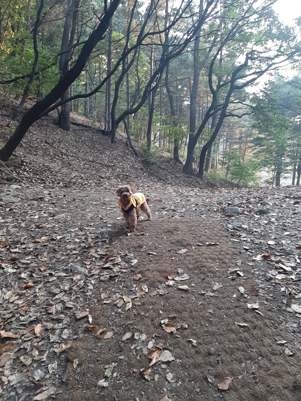 (곤지암 코리) 토리와 석달째