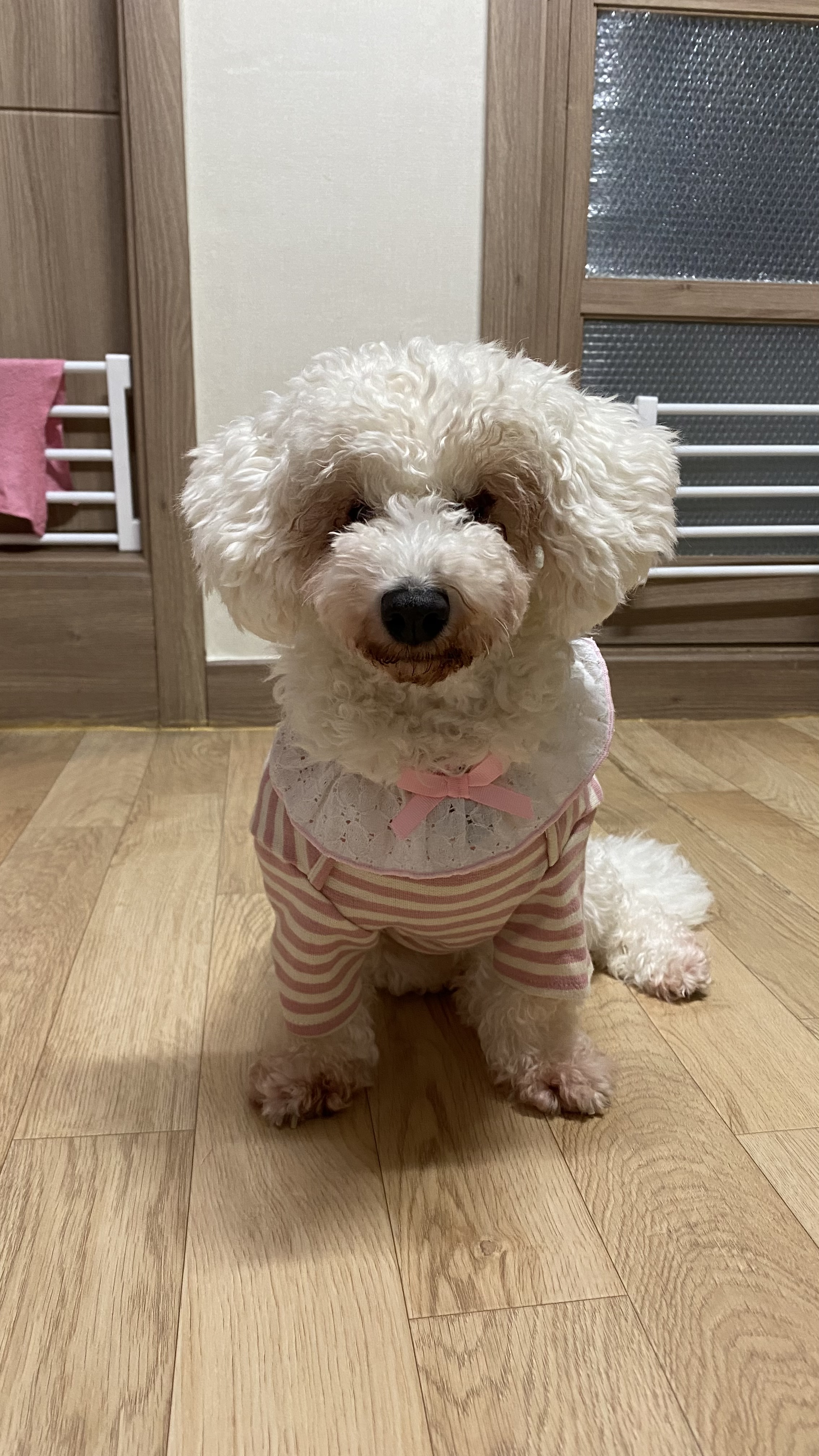 윤랑(쟈스민)과 함께한지 137일째