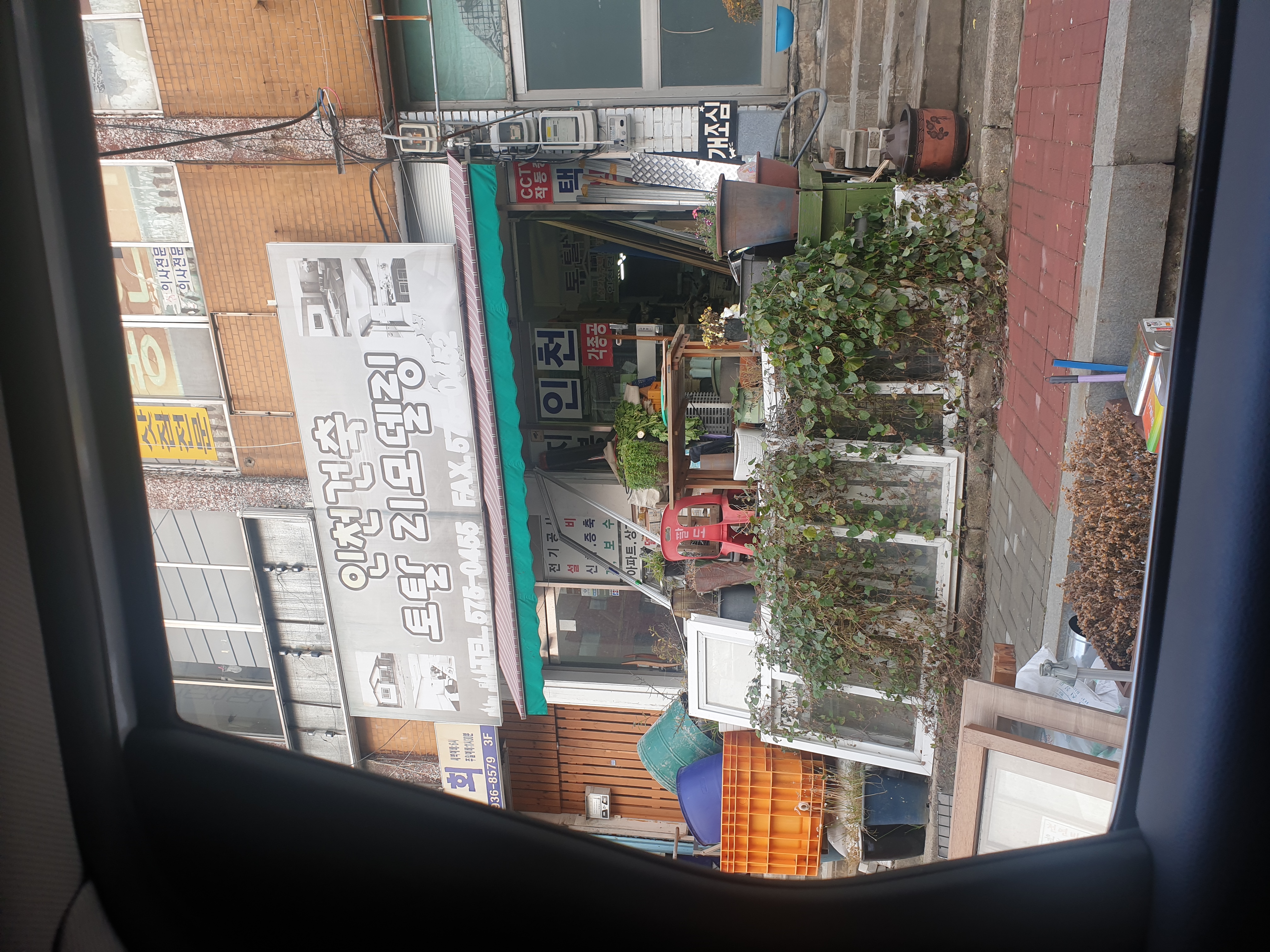 차에 묶여서꼼짝못해요