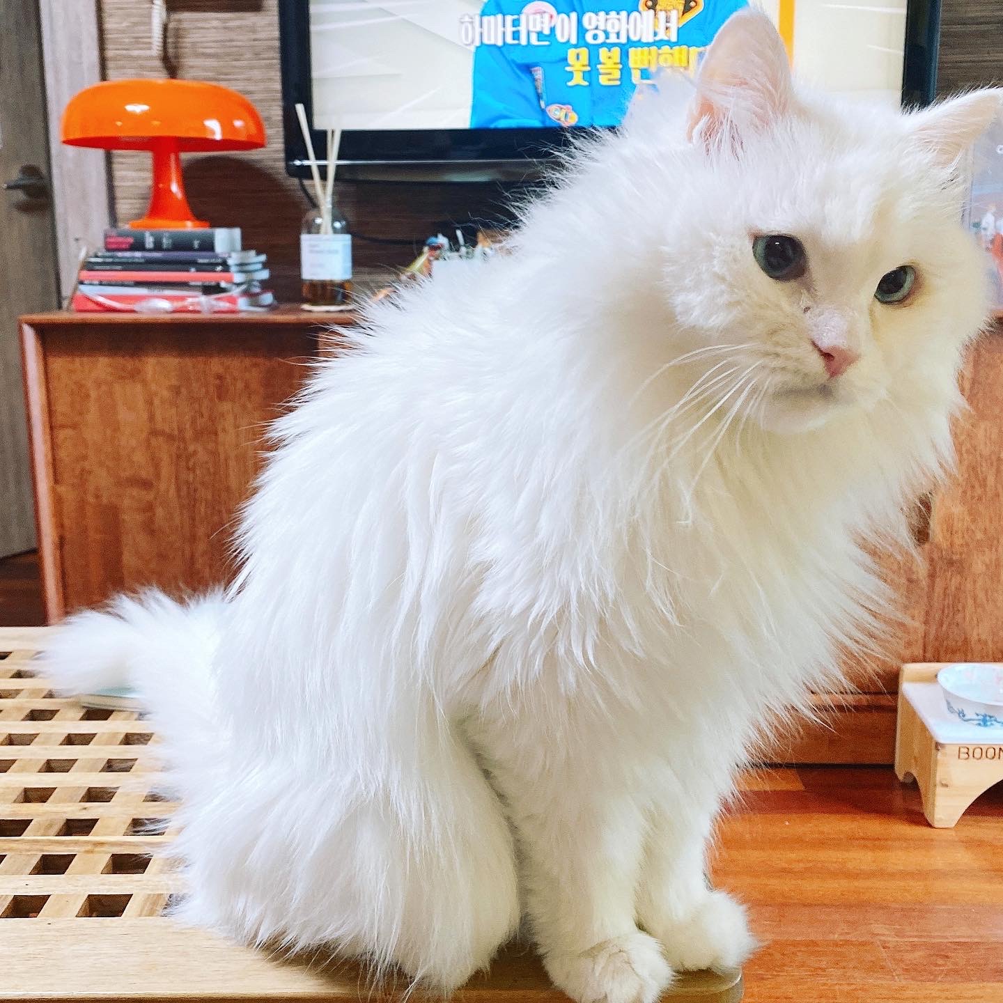 오뇨와 함께