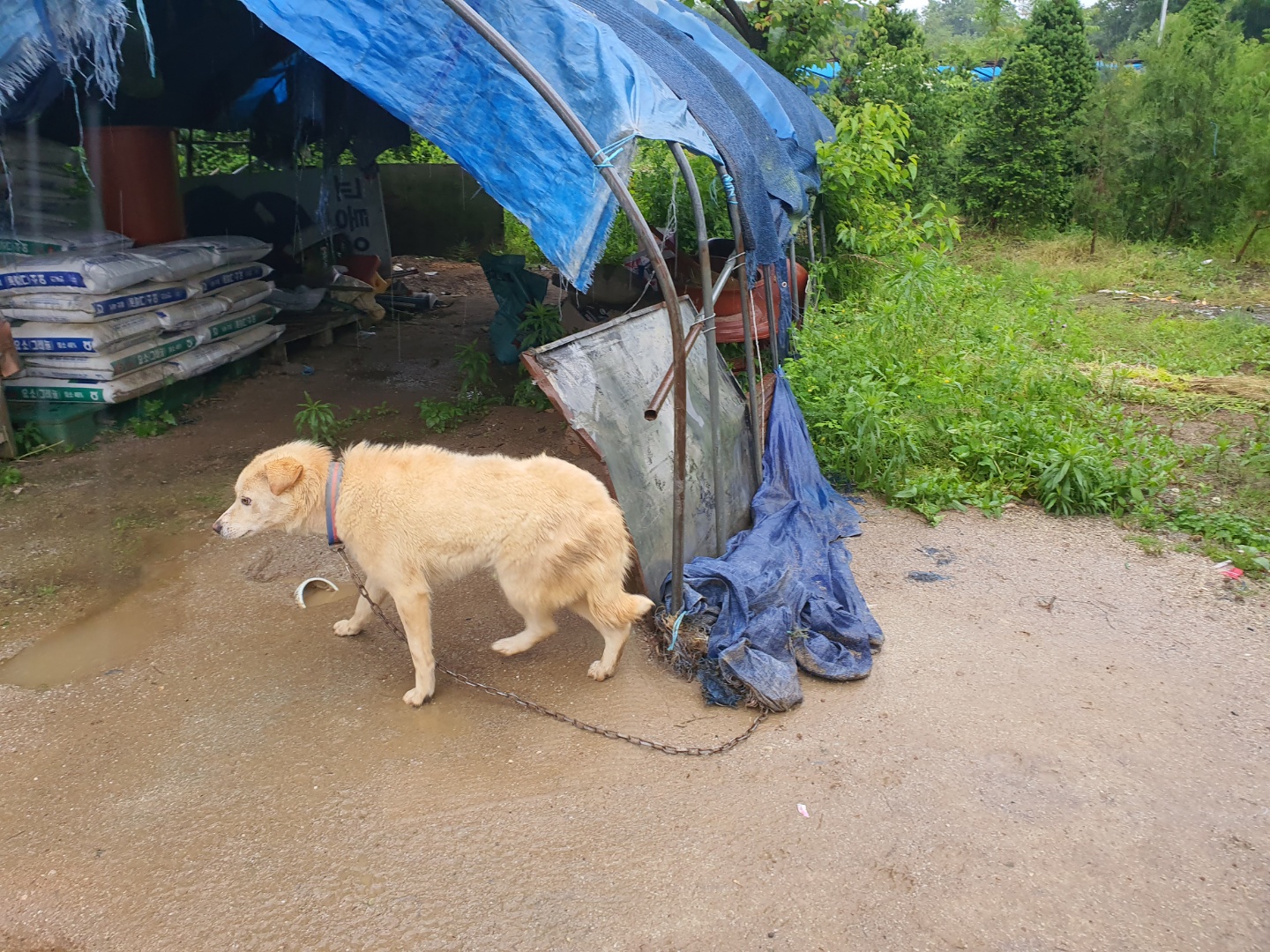 해피를 해피하게 해주세요