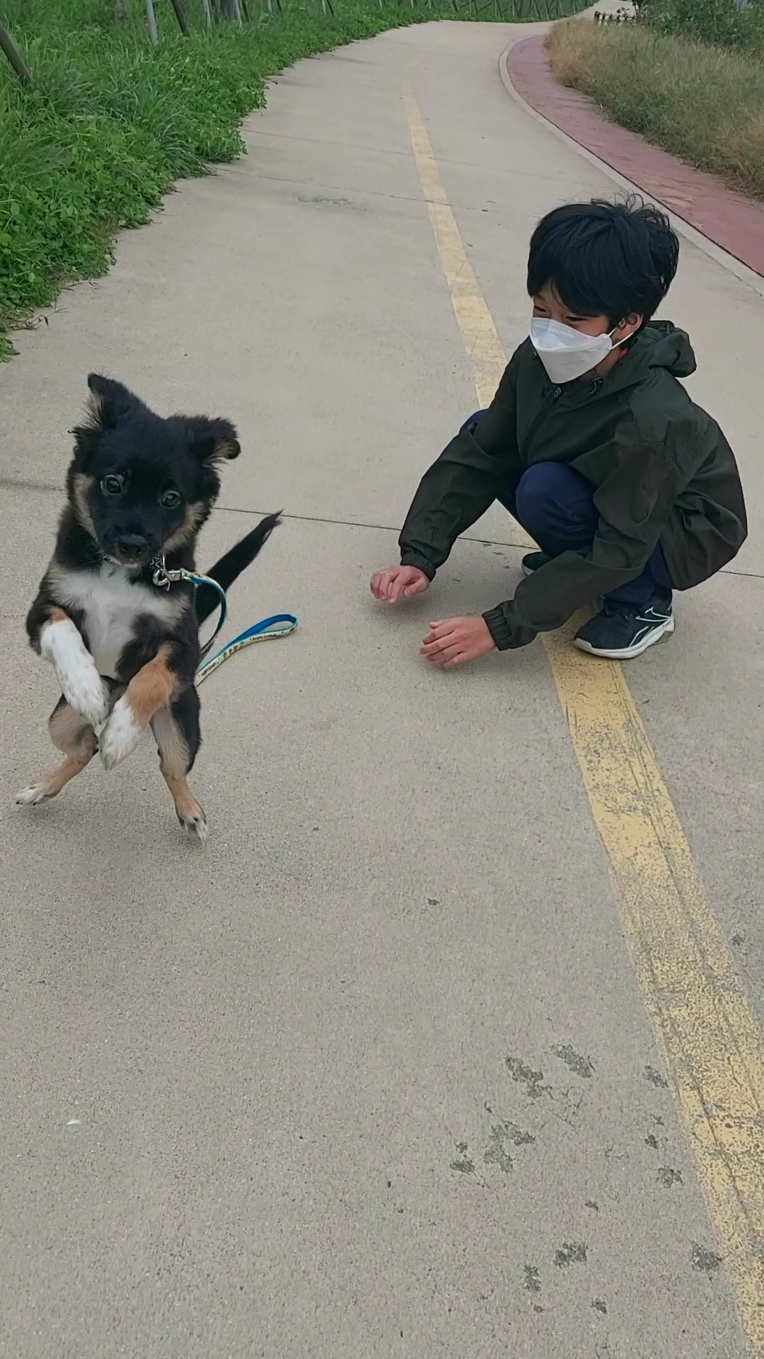 사라가 온지 두달이 되었네요