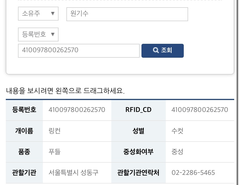 저의 반려견 링컨이의 억울함을 풀어주세요