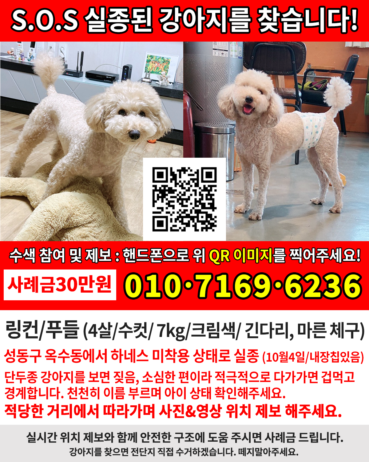 저의 반려견 링컨이의 억울함을 풀어주세요