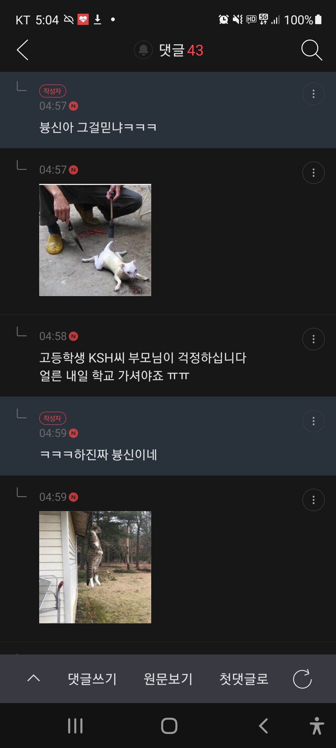 다음 약대가자 학대영상,사진