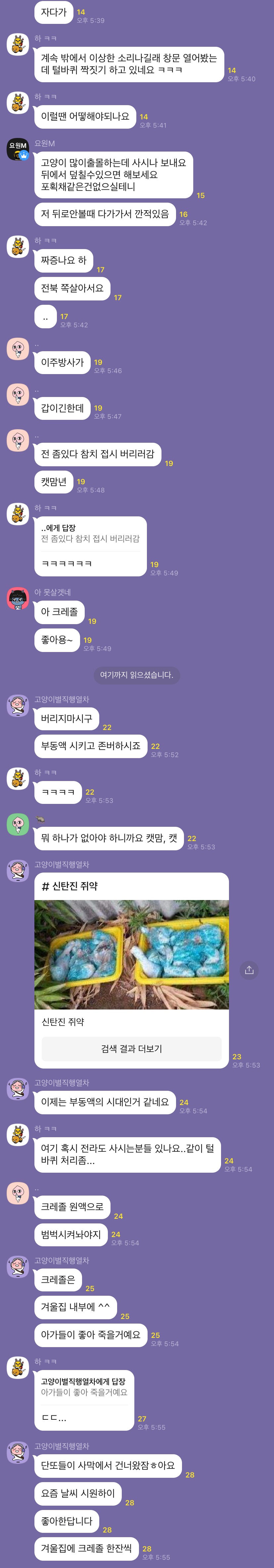 고양이 학대, 살해 모의하는 오픈채팅방들 정리해서 다시 보냅니다.