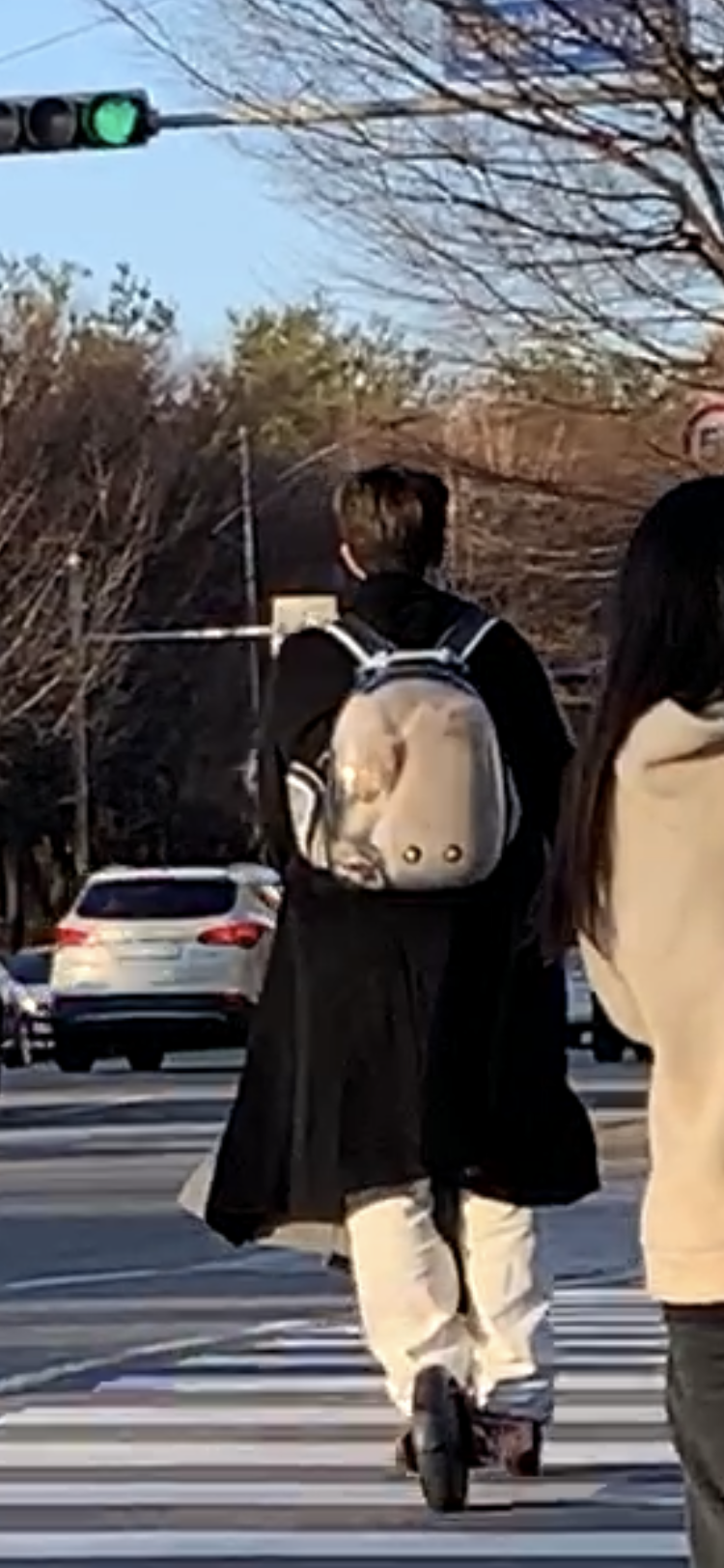어이가없었던…저안에 애기가 그저불쌍할뿐