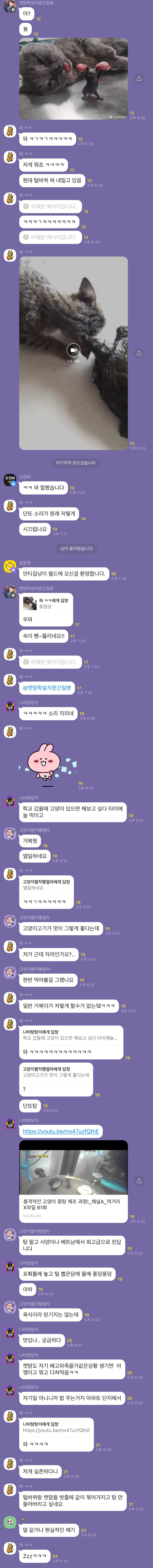 카카오톡 오픈채팅방에서 고양이 학대, 살해 모의 공유하는 살인범 단체 제보합니다.