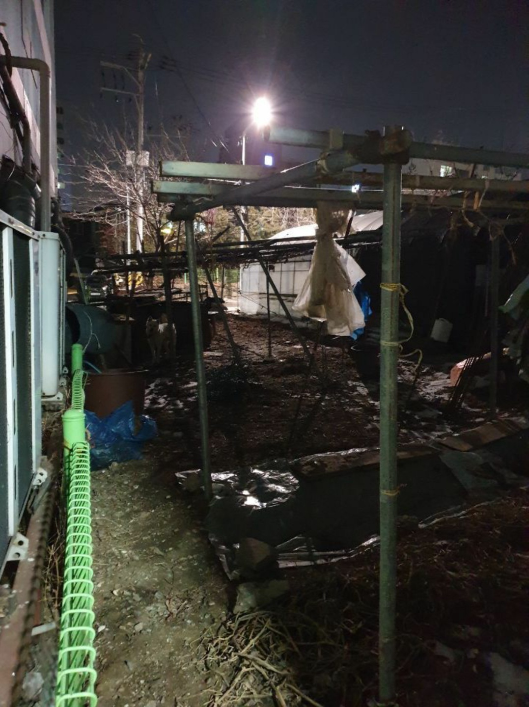 오래된 방치 신고입니다