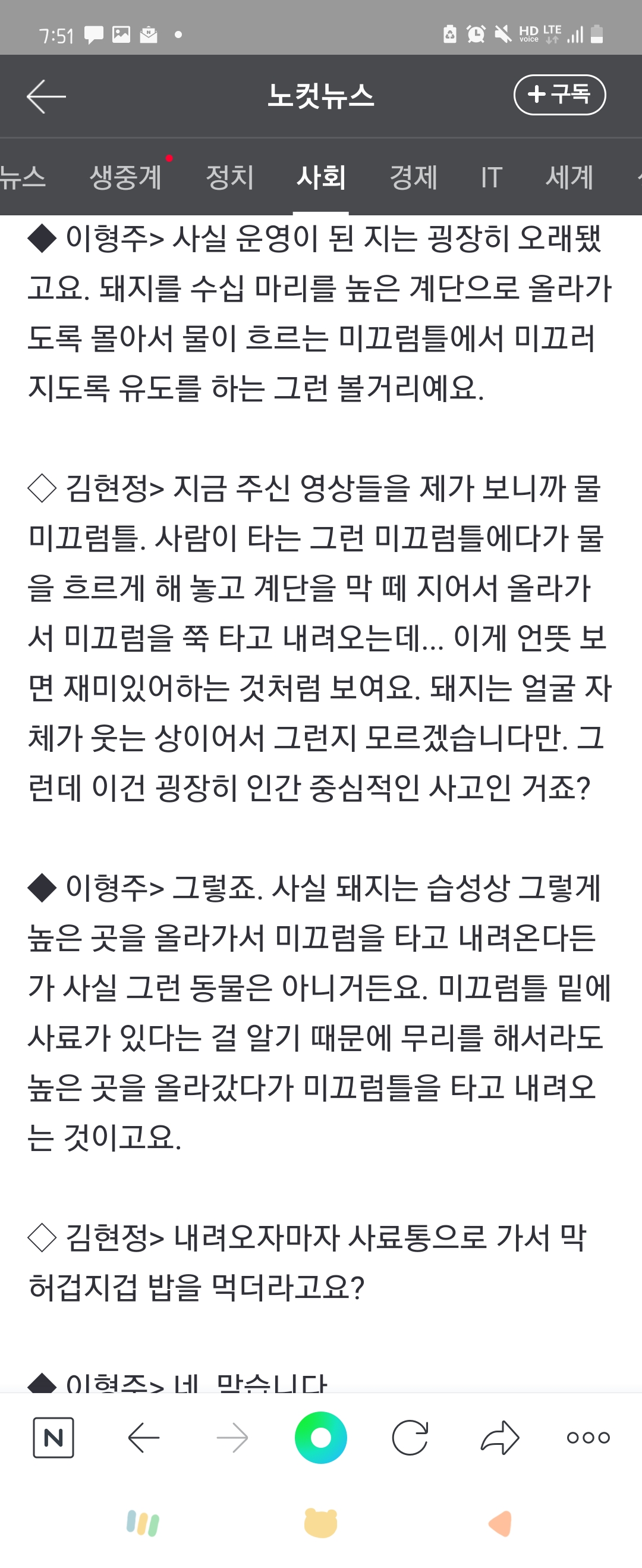 제주도 휴애리자연생활공원 흑돼지 미끄럼틀