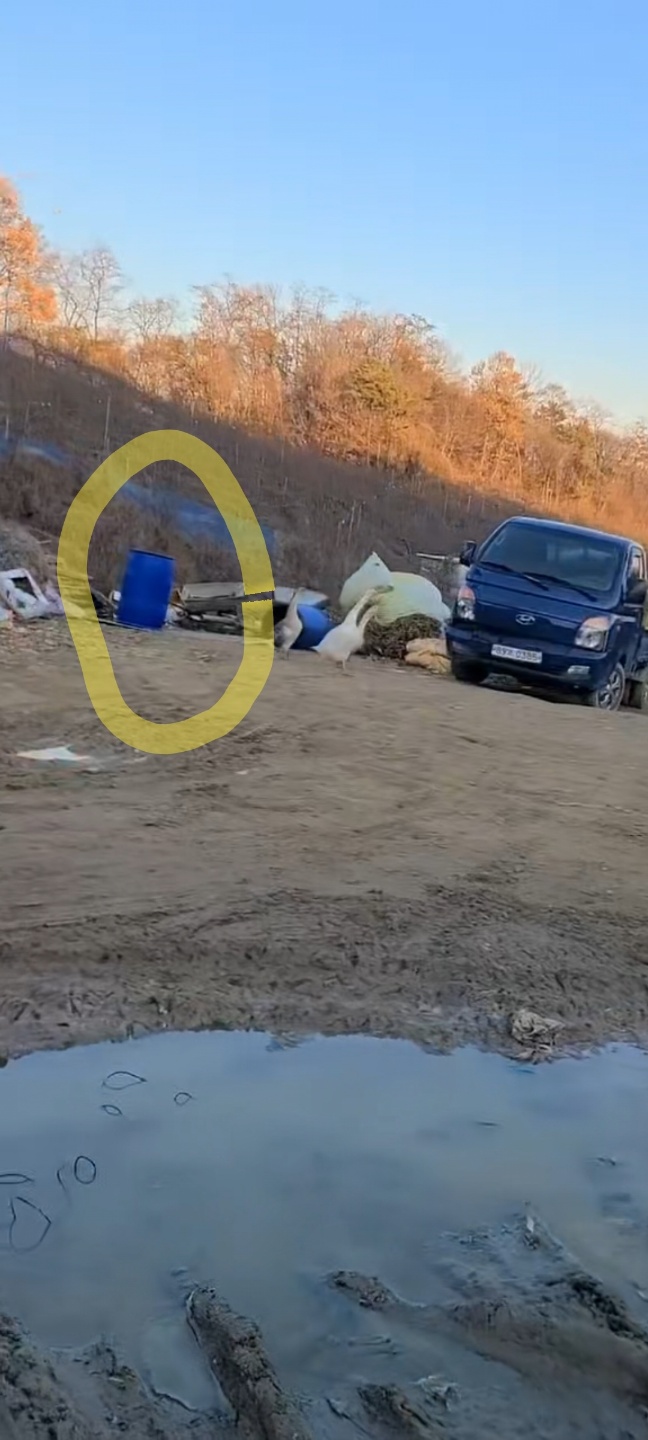 불법개농장고발합니다.