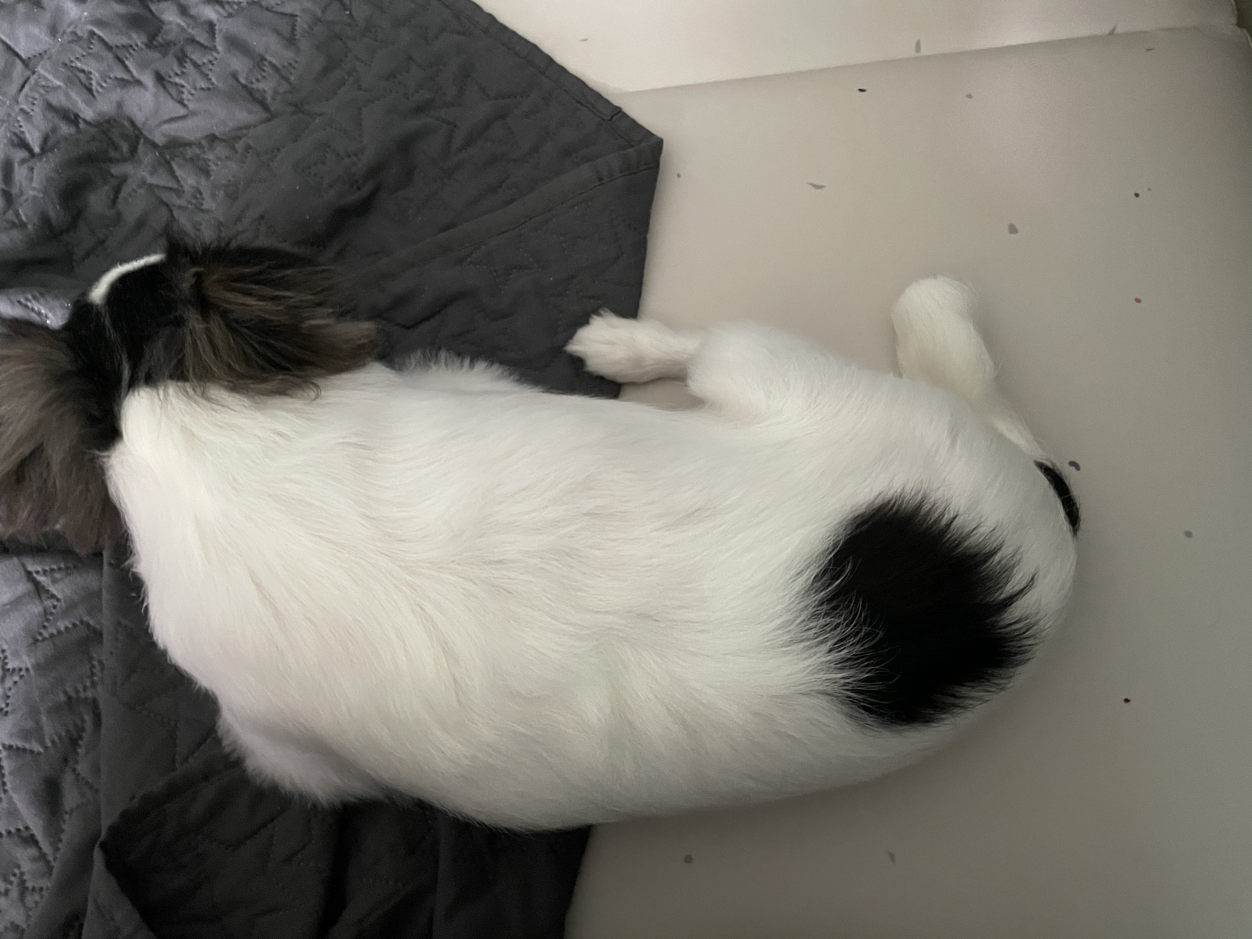 오랜만이네요 ㅎ(구지민이)