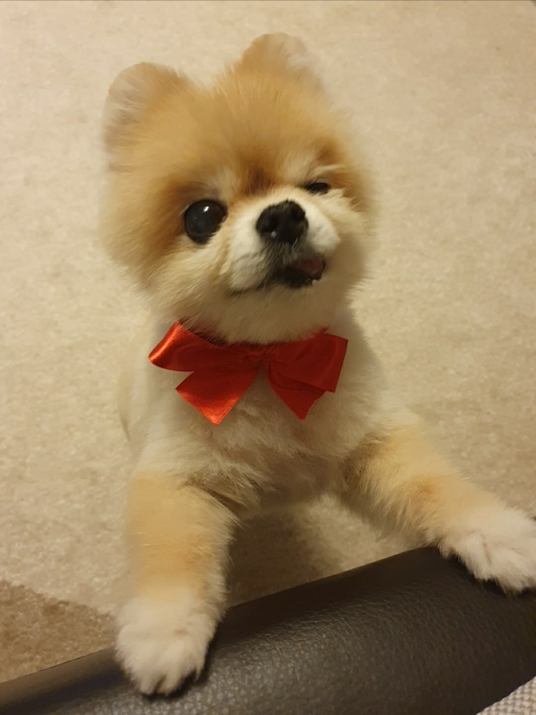 오랫만에 ‘티아’소식 올려요~^^